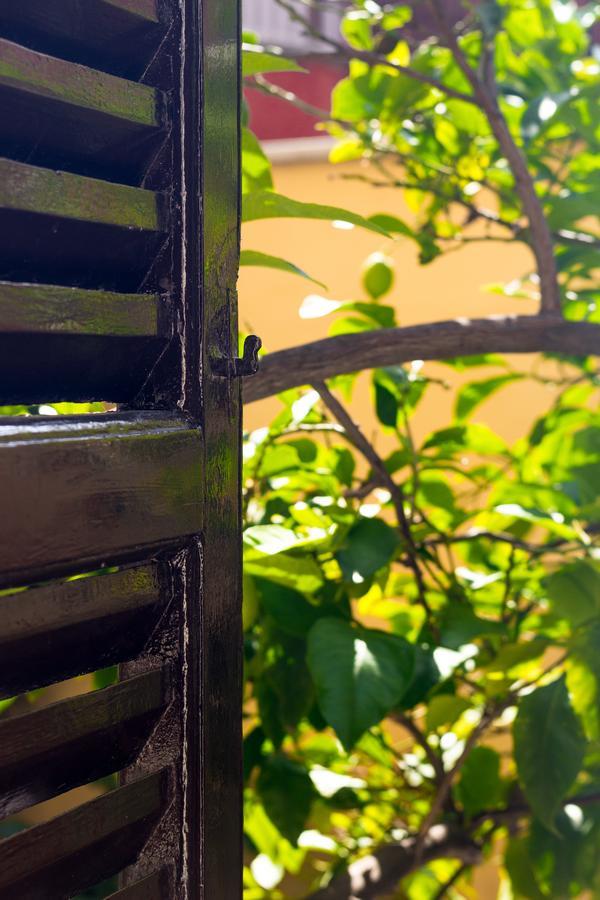 Ida Centro *